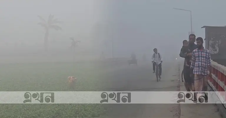 পঞ্চগড়ের কুয়াশা